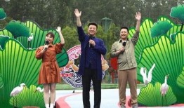 双合拆迁爆料视频大全最新,揭秘拆迁背后的真相与争议