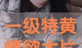 大片在线观看,在线观影新体验